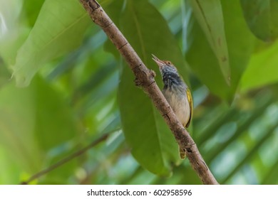 X账号无法换绑手机号解决方法-社煤资源网